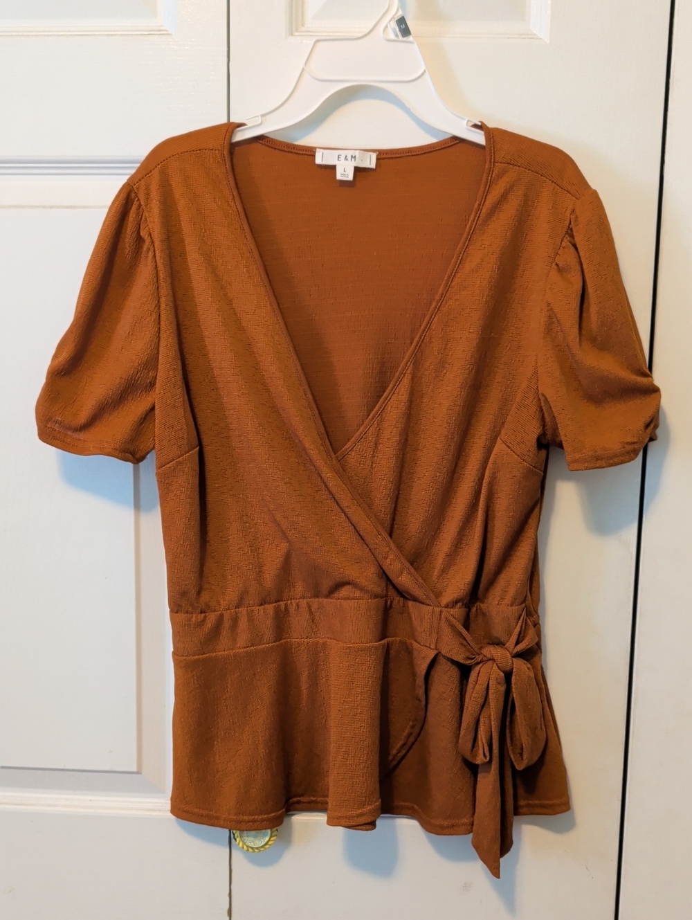EAM Rust Wrap Tie-Front Blouse